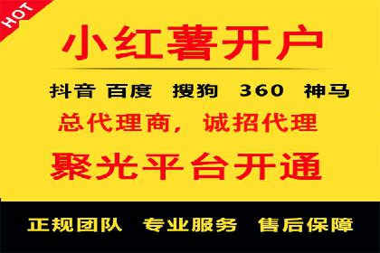 百度竞价广告运营全解析：成功案例揭秘